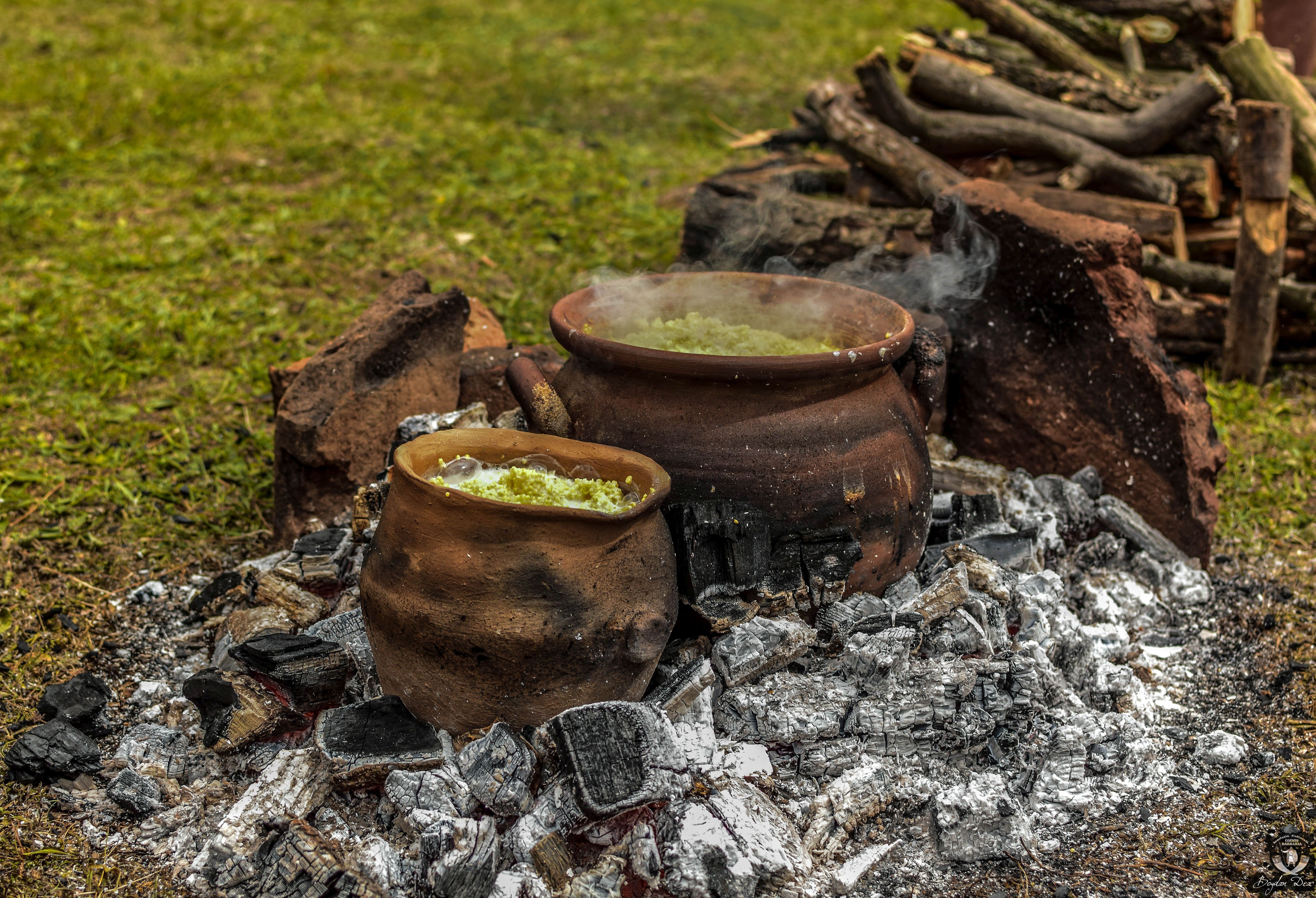 Rubobostes' Feast | The EXARC Journal